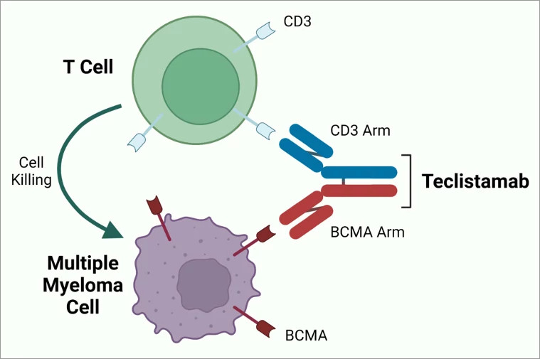 advances-teclistamab-diagram.jpg