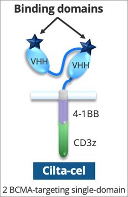 binding-domains-illustration-small.jpg