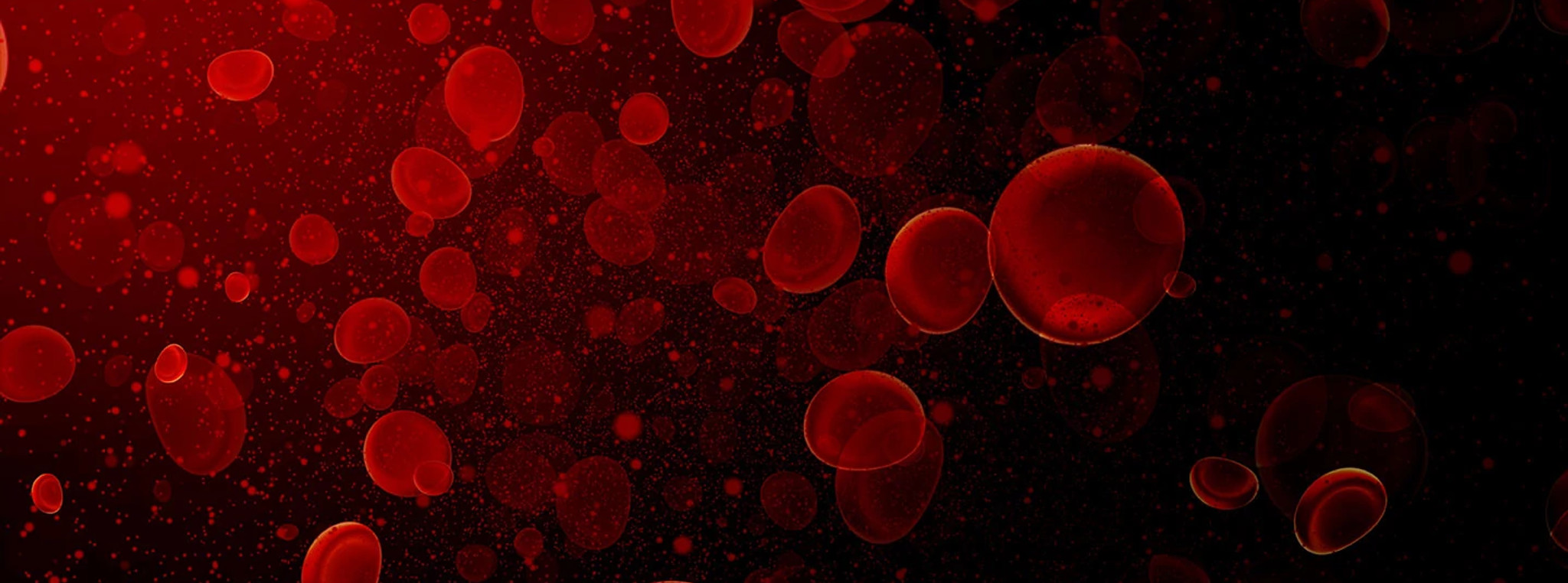 blood-cells-hero1440x705.jpg