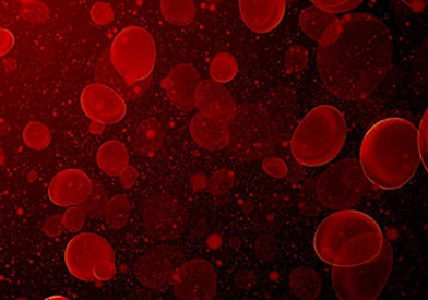 blood-cells-small360x340.jpg