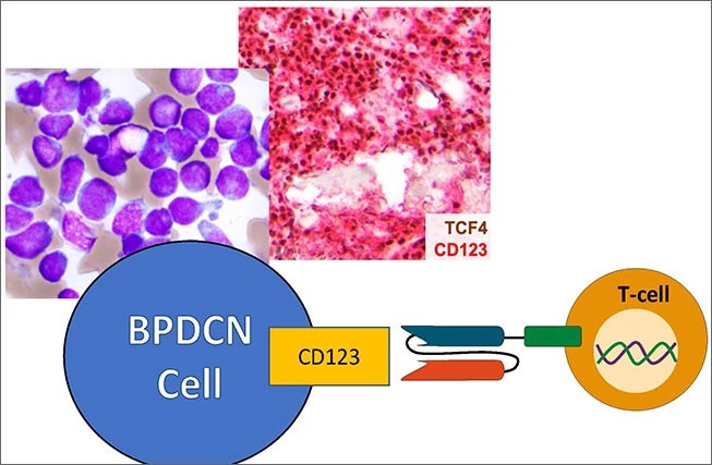 bpdcn-cell653x427.jpg