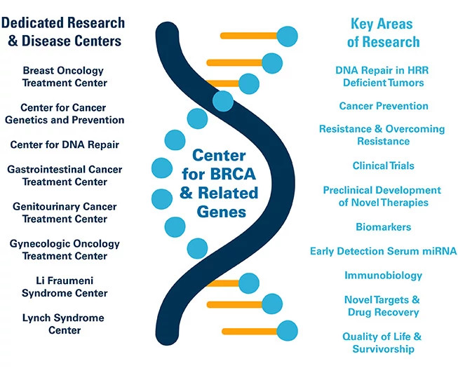 braca-center-research-diagram653x532.jpg