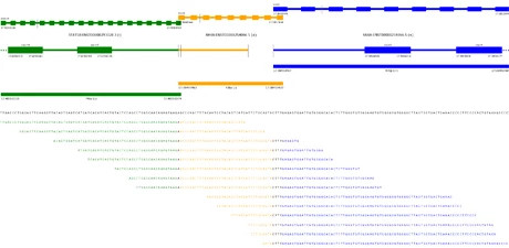 chart460x225.jpg