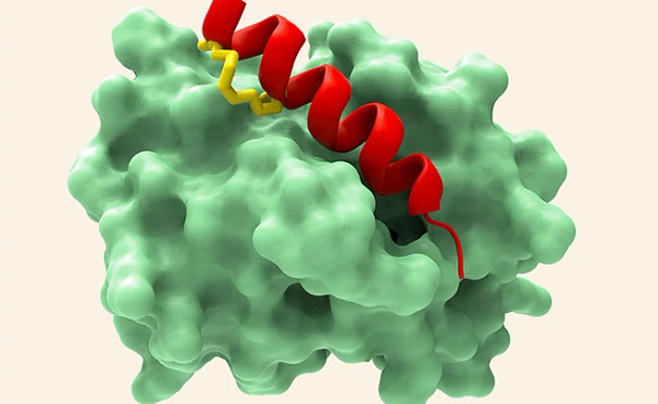 chemical-bio-illustration-2653x447.jpg