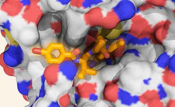 chemical-bio-illustration-3653x447.jpg