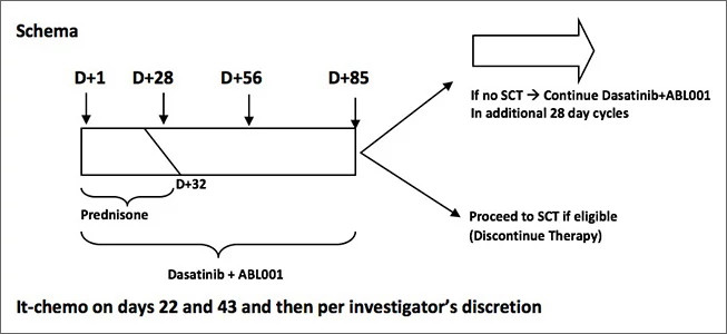 chemo-schema653x300.jpg