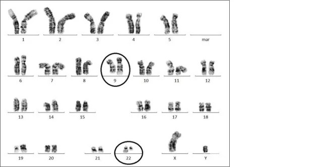 chromosomes653x333.jpg