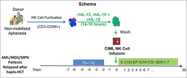 ciml-nk-cells-2653x272.jpg