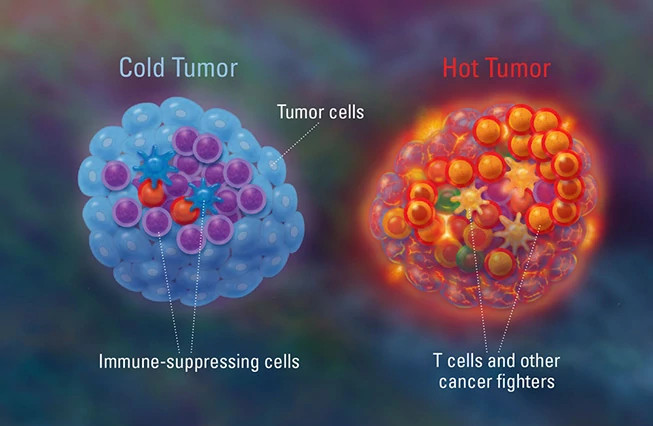 cold-and-hot-tumors653x426.jpg