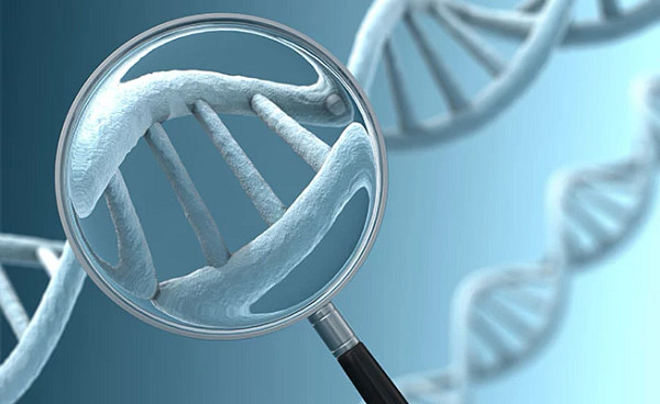 dna653x447.jpg