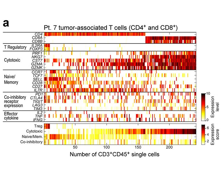 heatmap-diagram735x589.jpg