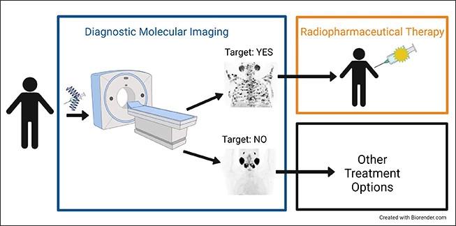 imaging-and-theranostics-diagram653x324.jpg