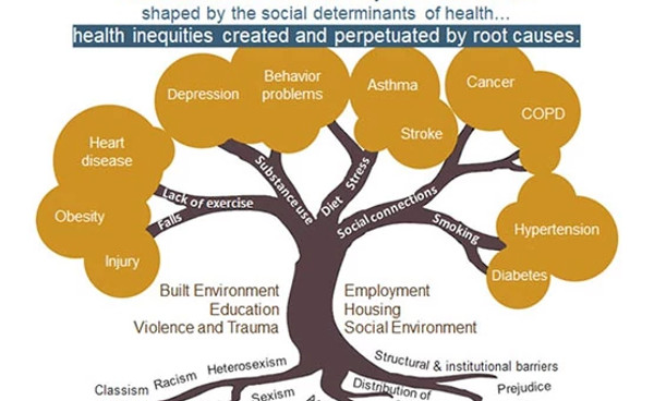 inequities-diagram556x381.jpg