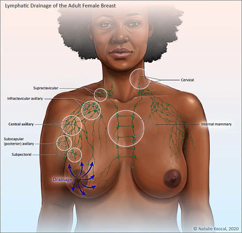 lymphatic-drainage653x628.jpg