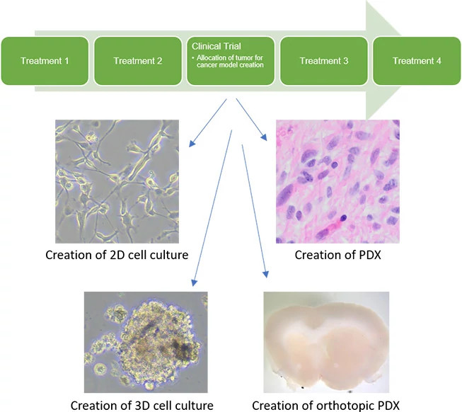 model-creation-integration653x582.jpg