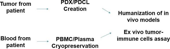 pmbc-workflow653x190.jpg