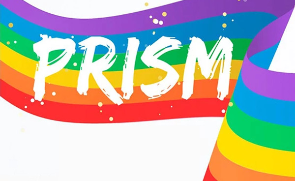 prism-support-group-logo556x381.jpg