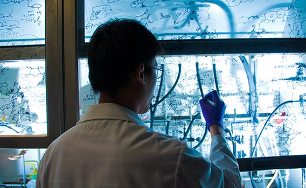 researcher-in-lab556x381.jpg