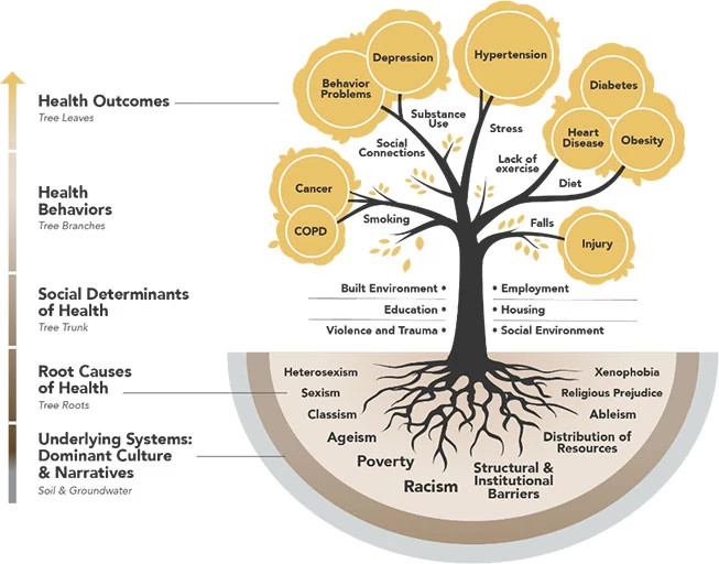 root-causes-of-inequities-2653x512.jpg