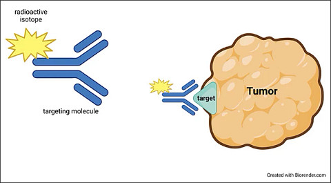 tumor-targeting-diagram653x361.jpg